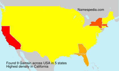 Surname Gamsin in USA