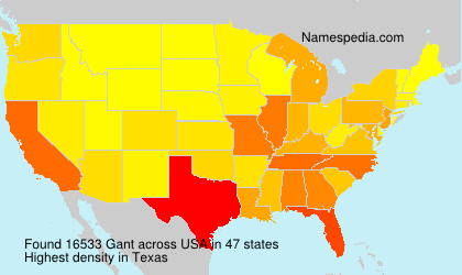 Surname Gant in USA