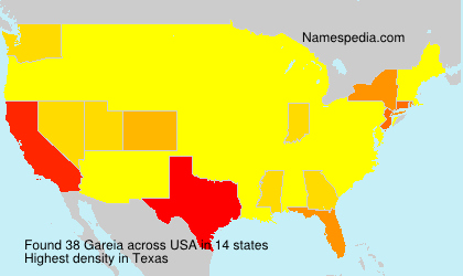 Surname Gareia in USA