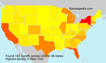 Surname Gareth in USA