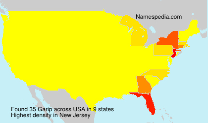 Surname Garip in USA