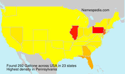 Surname Gattone in USA