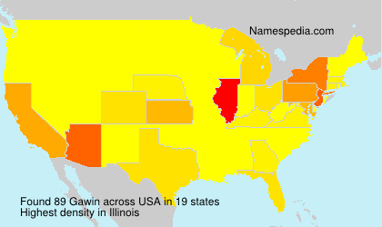 Surname Gawin in USA