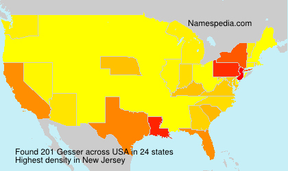 Surname Gesser in USA