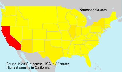 Surname Gin in USA