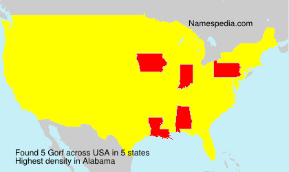 Surname Gorf in USA