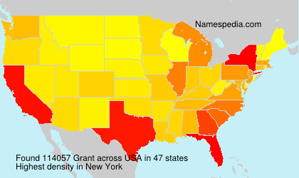 Surname Grant in USA