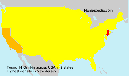 Surname Grinkin in USA