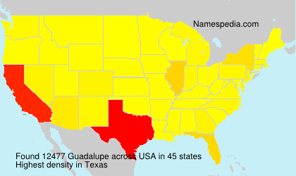 Surname Guadalupe in USA