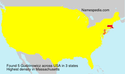 Surname Gudzinowicz in USA