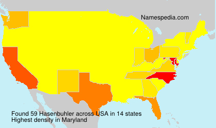 Surname Hasenbuhler in USA
