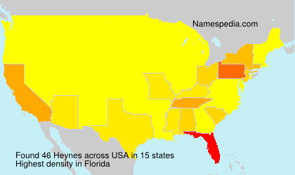 Surname Heynes in USA