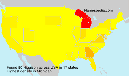 Surname Higgison in USA