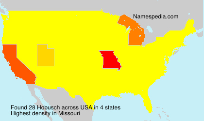 Surname Hobusch in USA