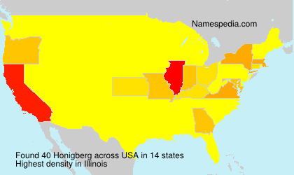 Surname Honigberg in USA