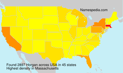 Surname Horgan in USA