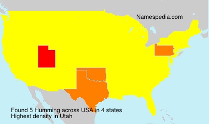 Surname Humming in USA