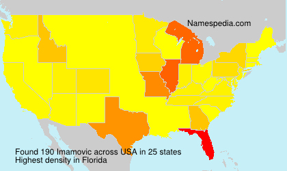 Surname Imamovic in USA