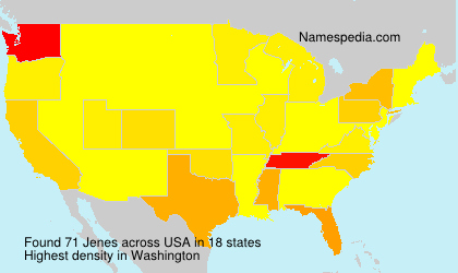 Surname Jenes in USA