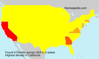 Surname Kamilia in USA