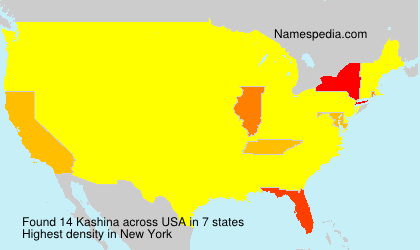 Surname Kashina in USA