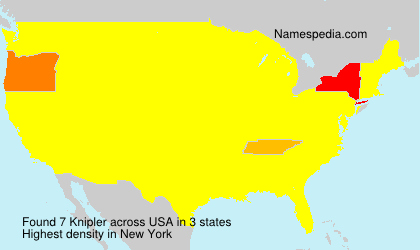 Surname Knipler in USA