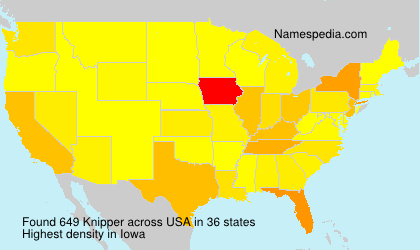 Surname Knipper in USA