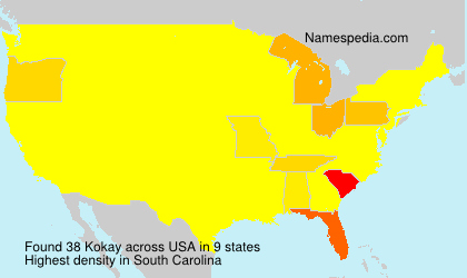 Surname Kokay in USA