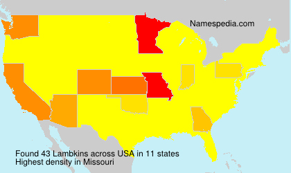 Surname Lambkins in USA