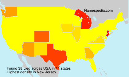 Surname Lieg in USA