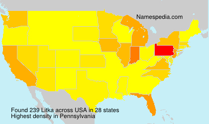 Surname Litka in USA
