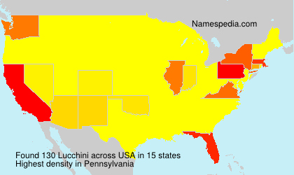 Surname Lucchini in USA