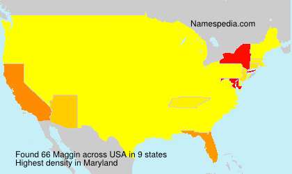 Surname Maggin in USA