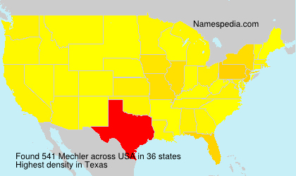 Surname Mechler in USA