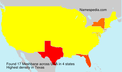 Surname Meshbane in USA