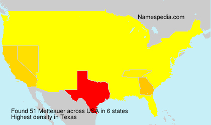 Surname Metteauer in USA