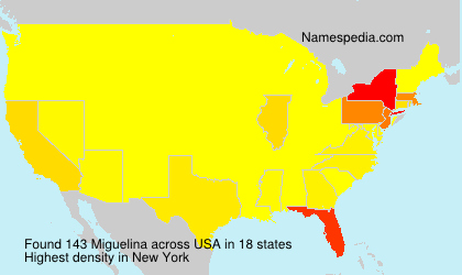 Surname Miguelina in USA