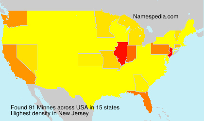 Surname Minnes in USA