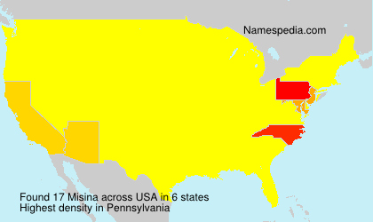 Surname Misina in USA
