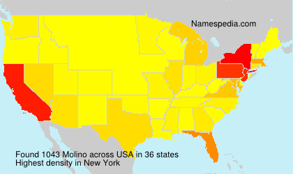 Surname Molino in USA