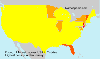 Surname Mousin in USA