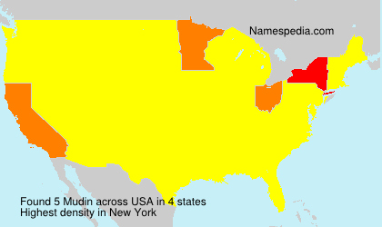 Surname Mudin in USA