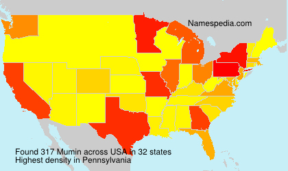 Surname Mumin in USA