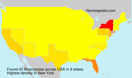 Surname Muscianese in USA