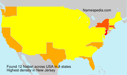 Surname Nabiel in USA