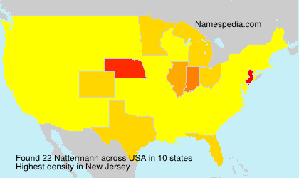 Surname Nattermann in USA