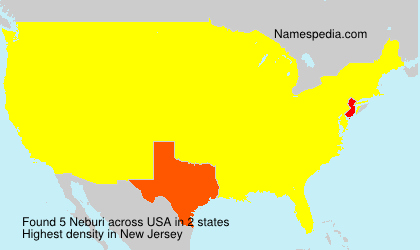 Surname Neburi in USA