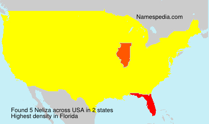 Surname Neliza in USA