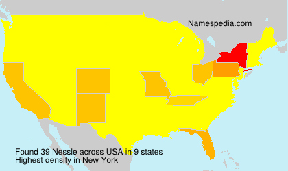 Surname Nessle in USA