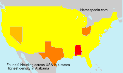Surname Neuding in USA